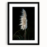 Floral and botanical frame design with a matte black finish, showcasing intricate plant illustrations, ideal for elegant home decor or gallery displays. Perfect for enhancing aesthetic appeal in living spaces or offices.