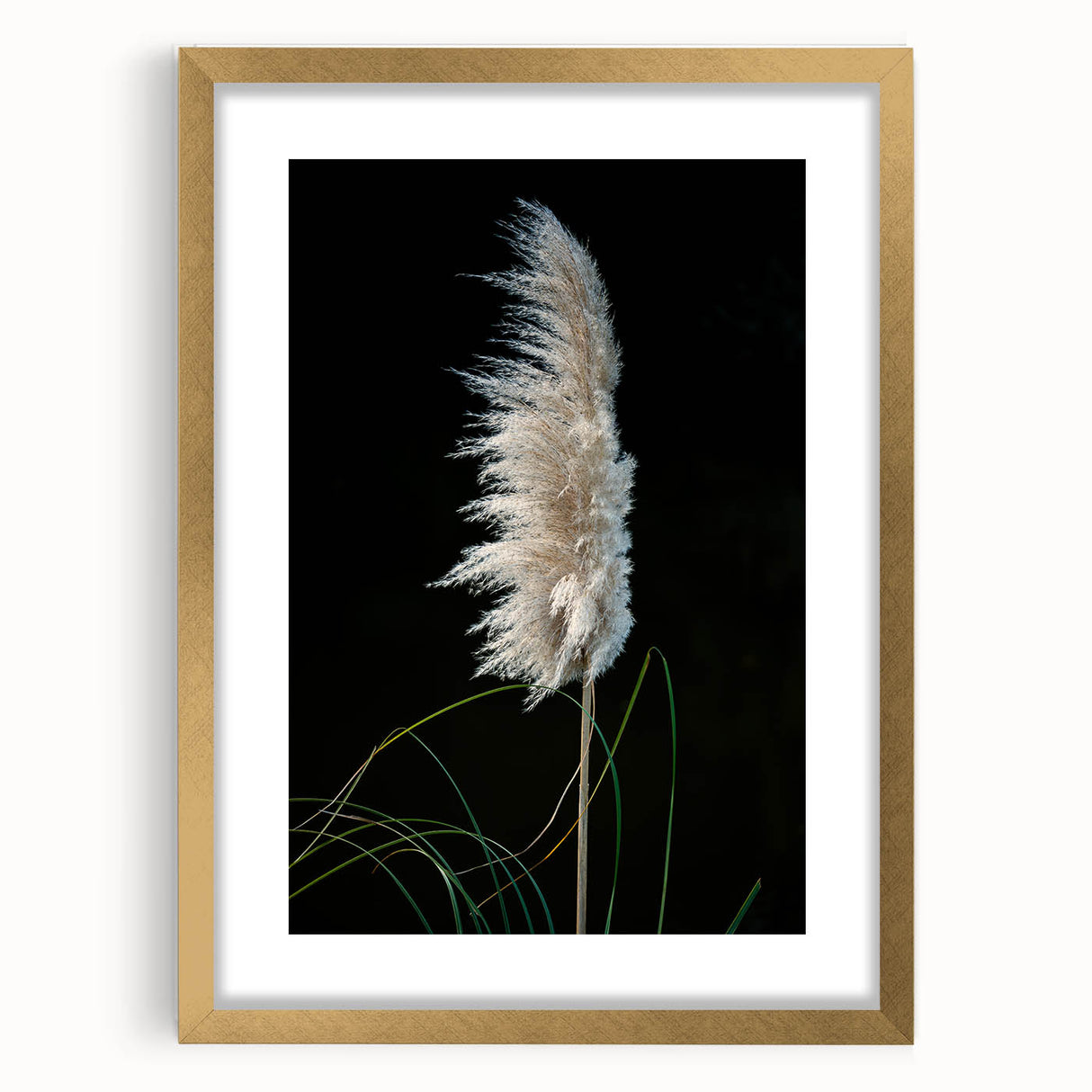 Floral and botanical frame in a gold matte finish, featuring intricate designs and elegant details, ideal for home decor and art displays. Perfect for enhancing aesthetic appeal in living spaces.