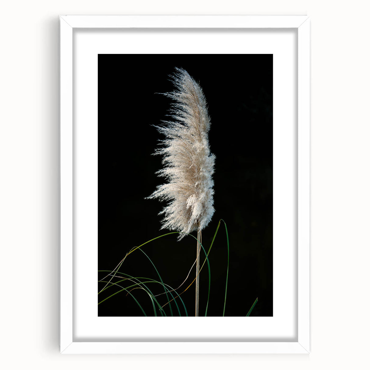 Floral and botanical frame with a white mat, showcasing intricate flower and leaf designs in vibrant colors, perfect for home decor or art projects.