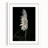 Floral and botanical frame with a white mat, showcasing intricate flower and leaf designs in vibrant colors, perfect for home decor or art projects.