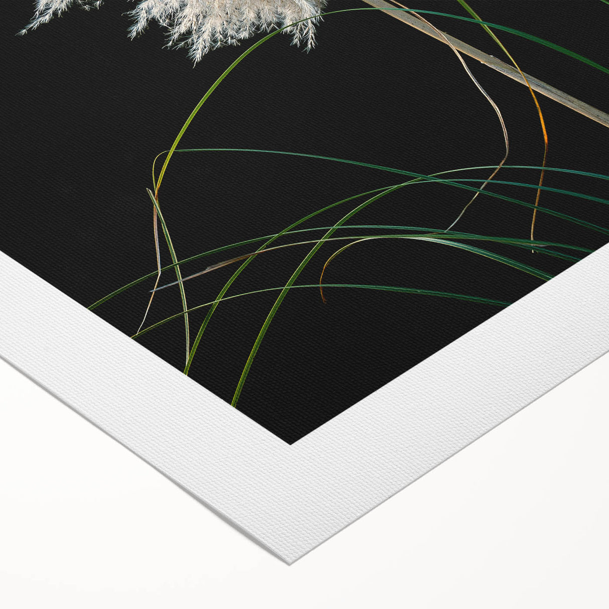 Floral and botanical design printed on rolled canvas, showcasing vibrant colors and intricate details, ideal for home decor or art enthusiasts, packaged in a protective cardboard tube.