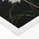 Floral and botanical design printed on rolled canvas, showcasing vibrant colors and intricate details, ideal for home decor or art enthusiasts, packaged in a protective cardboard tube.