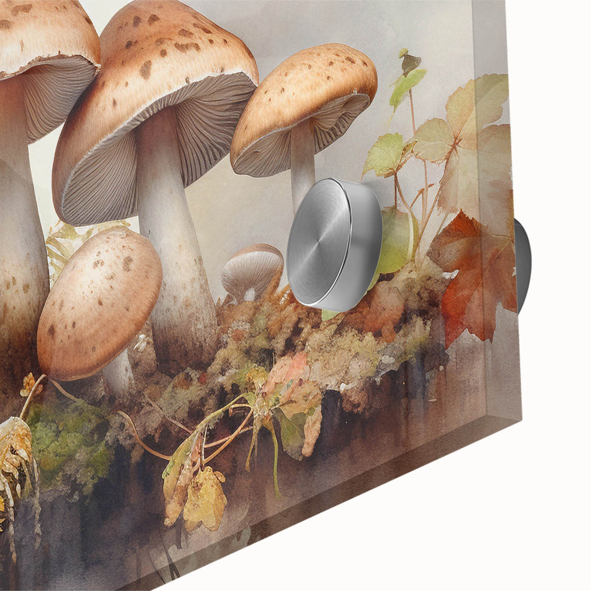 Close-up view of vibrant botanical wall art featuring flowers and mushrooms, printed on acrylic glass for a modern decor accent, ideal for nature lovers.