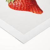 Art deco poster of colorful fruits on rolled canvas, ideal for dining room wall art.