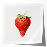Extra large rolled print of colorful fruits in a minimalist style, ideal for dining room or kitchen decor.