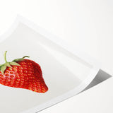 Extra large wall art featuring line art flowers in a monochrome palette, ideal for large living room decor.