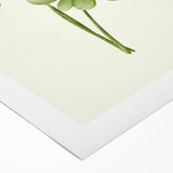 Lucky Shamrock St. Patrick’s Day Wall Art – Irish Celtic Decor