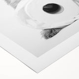 Bathroom Wall Art - Adorable Dog with Toilet Paper Roll