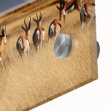 Large abstract wall art depicting the Namibian landscape in earthy tones on acrylic glass, suitable for dining room ambiance.