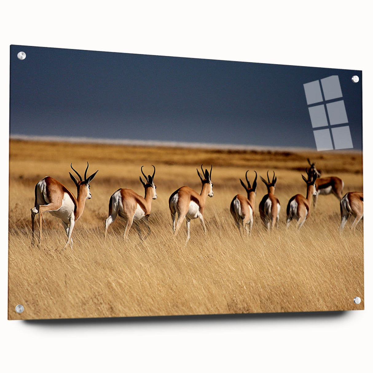 Acrylic print of a Namibian landscape in earthy tones, ideal for dining room or bedroom decor.