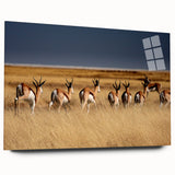 Acrylic print of a large abstract depiction of Namibian scenery in earth tones, ideal for bedroom or dining room art.