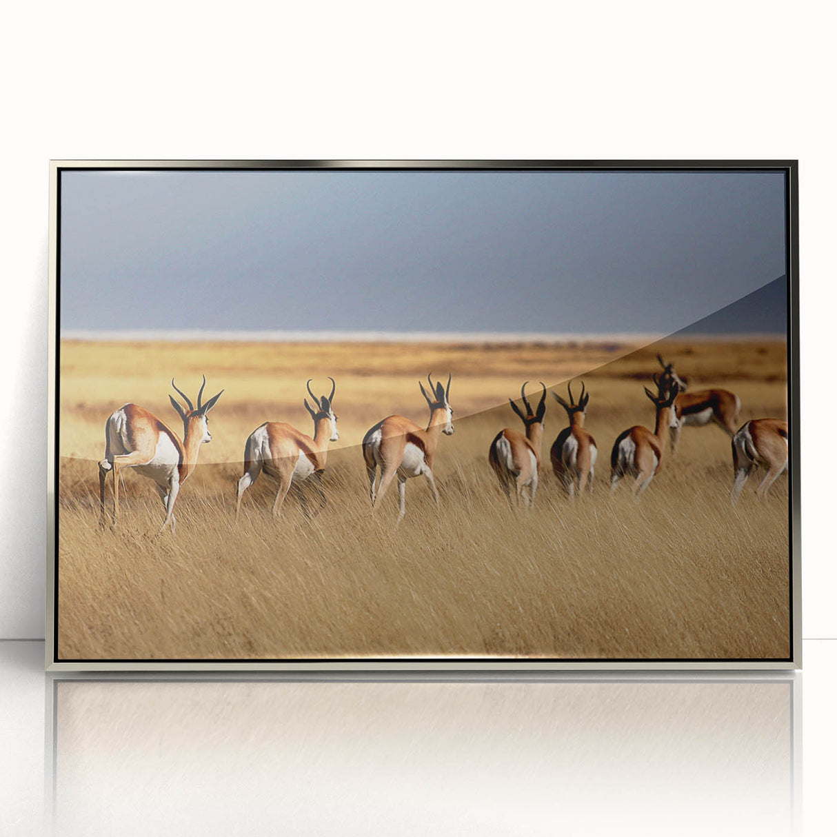 Mid-century modernist art depicting the Namibian desert, in muted earth tones on a framed acrylic print.
