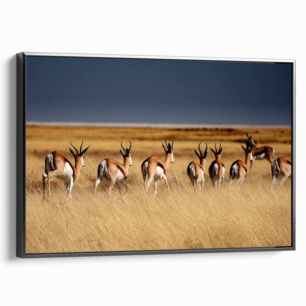 Black and white framed canvas of a Namibian landscape, ideal for bedroom decor with a vintage poster art style.