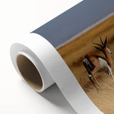 Art deco poster of an African scenery in Namibia with soft pastel colors on rolled canvas, ideal for nursery wall art.