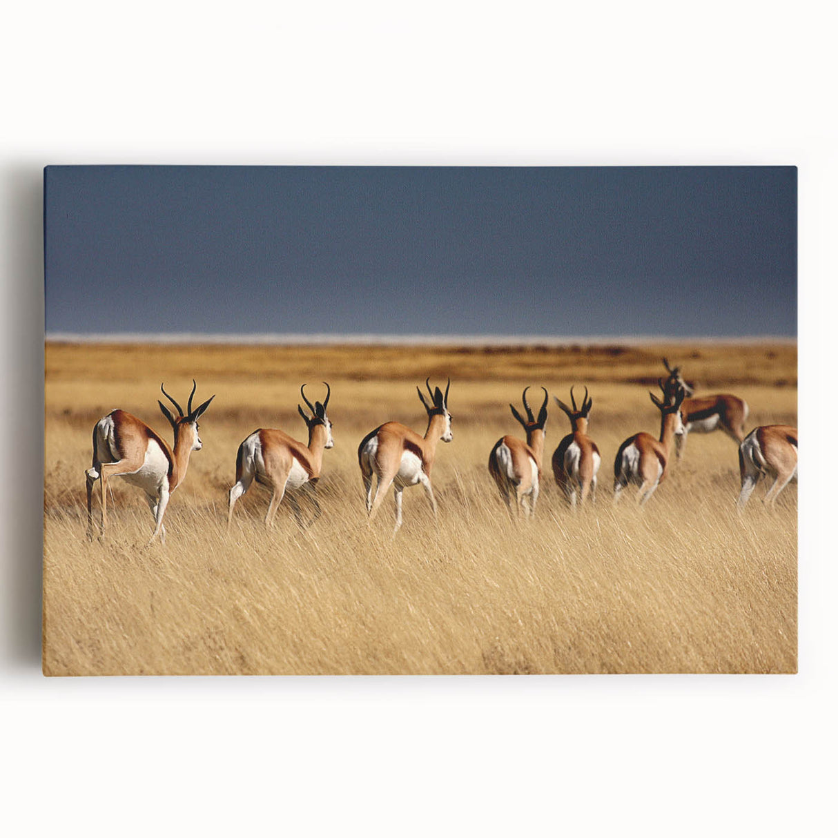 Black and white photograph of Namibian landscape on stretched canvas, ideal for kitchen wall art.