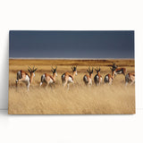 Black and white photograph of Namibian landscape on large stretched canvas, suitable for kitchen wall art.