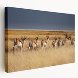 Panoramic canvas print of a Namibian landscape in earthy tones, suitable as large kitchen wall art.