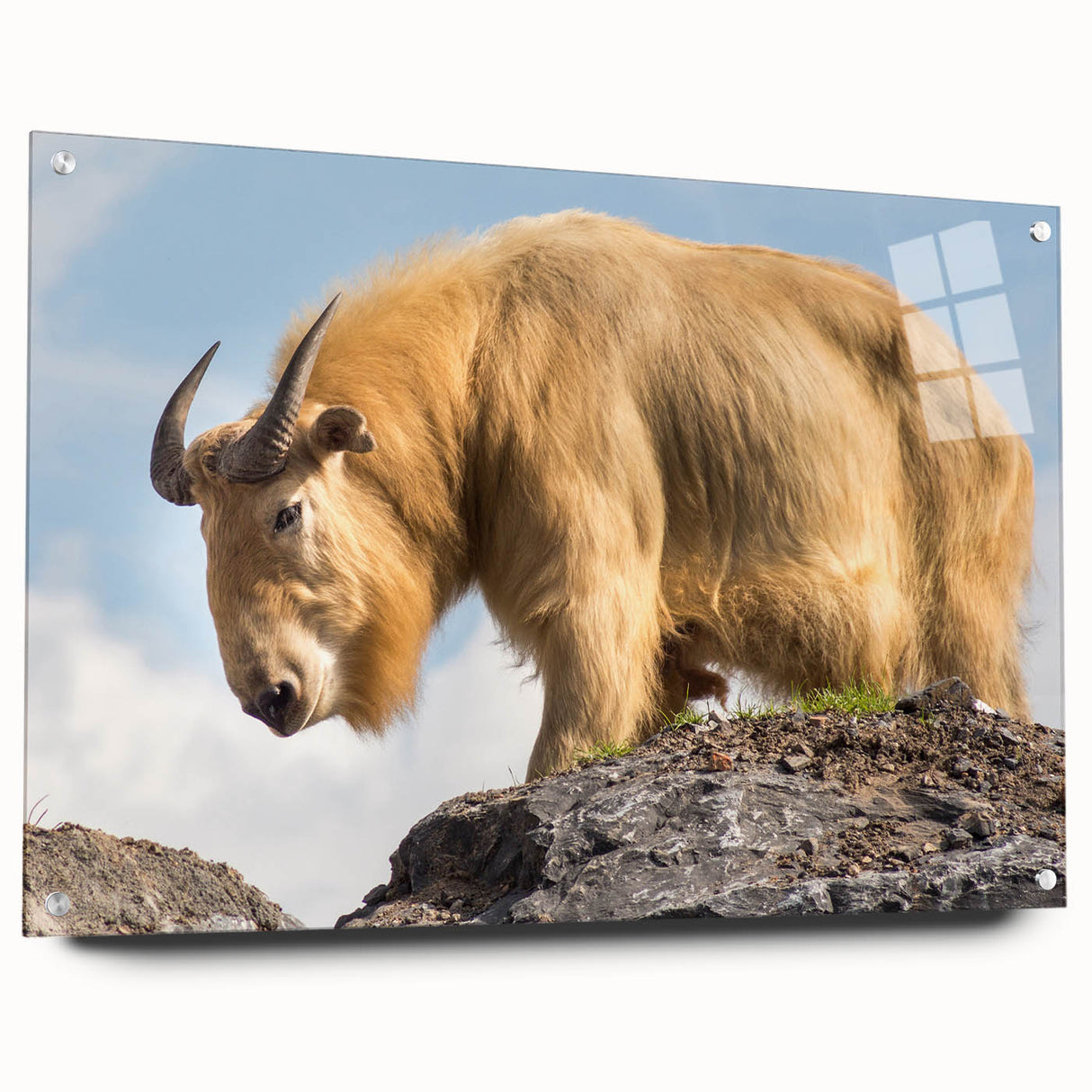 Large abstract wall art featuring a serene Bhutanese landscape in muted earth tones on acrylic glass.