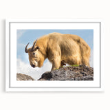 Abstract art print of Bhutan scenery in muted earth tones on a framed white mat, ideal for dining room decor.