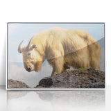 Acrylic print of a serene Bhutanese landscape in muted earth tones, framed in white.