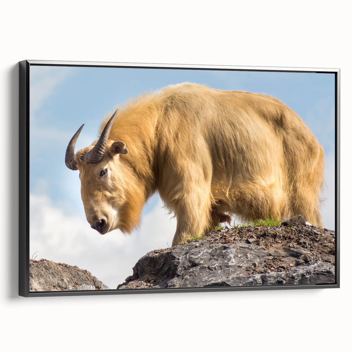 Black and white wall art featuring a Bhutanese landscape on framed canvas, suitable for bedroom decor.
