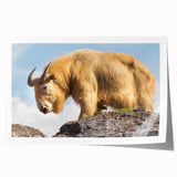 Rolled print of Bhutanese landscape with lush greenery and mountains, ideal for art wall dining room decor.