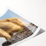 Extra large wall art featuring line art flowers in subtle hues on a rolled print, ideal for large living room decor.