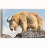 Black and white photo of Bhutanese landscape on stretched canvas, ideal for kitchen wall art.