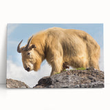 Black and white photograph of Bhutanese landscape on large stretched canvas, suitable as kitchen wall art or bedroom decor.