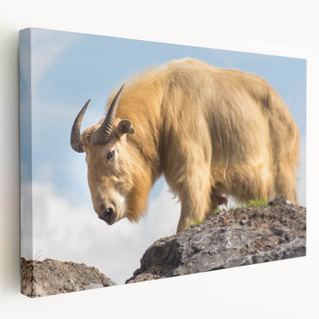 Large wall art of Bhutanese landscape on stretched canvas, featuring lush green tones, ideal for kitchen wall art.