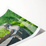 Extra large rolled print featuring a line art design of flowers with muted earth tones, ideal for large living room wall art.