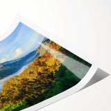 Extra large wall art featuring line art flowers in muted earth tones on a rolled canvas.