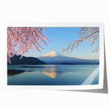 Extra large wall art of Mount Fuji with cherry blossoms in pastel shades on a rolled print, ideal for dining room decor.