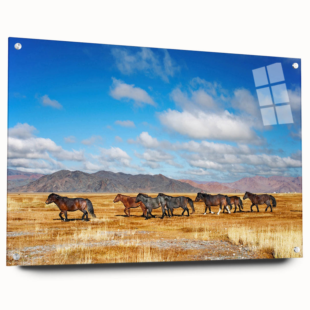 Large abstract wall art depicting a Mongolian landscape on acrylic glass, with muted earth tones.