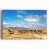 Black and white photograph of Mongolian landscape on large stretched canvas, suitable for kitchen wall art.