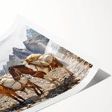 Extra large wall art featuring line art flowers in soft pastel shades on a rolled canvas, ideal for large living room decor.