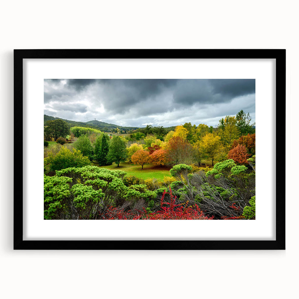 Extra large abstract art print of Adelaide scenery in vibrant colors on a textured canvas, framed in black.