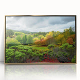 Mid-century modernist art of Adelaide skyline in gold and black tones on acrylic framed print.