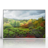 Large art print of Adelaide scenery in mid-century modernist style, featuring muted earth tones on a framed acrylic.