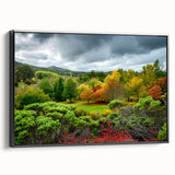 Black and white framed canvas of Adelaide landscape, ideal for bedroom wall art with vintage poster style.