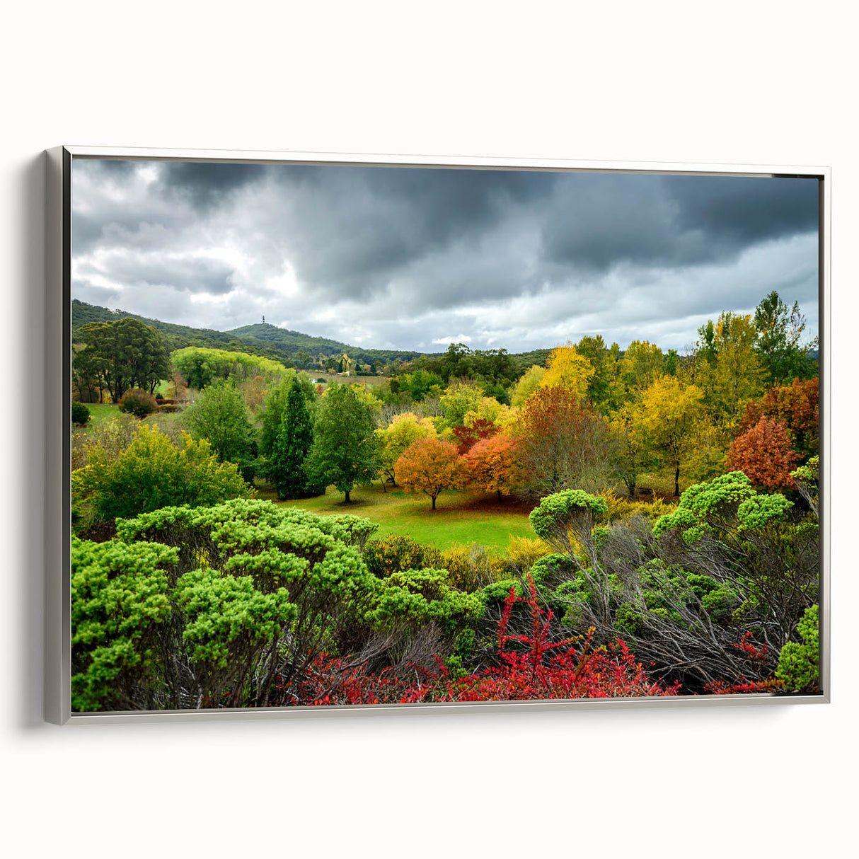 Vintage poster art of Adelaide scenery on a framed canvas, featuring vibrant colors and silver frame.