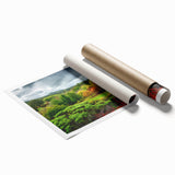 Extra large rolled print of Adelaide scenery with muted green and floral elements, suitable for classy bathroom wall art.