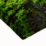 Large art of Adelaide landscape in black and white on stretched canvas, suitable for bedroom wall decor.