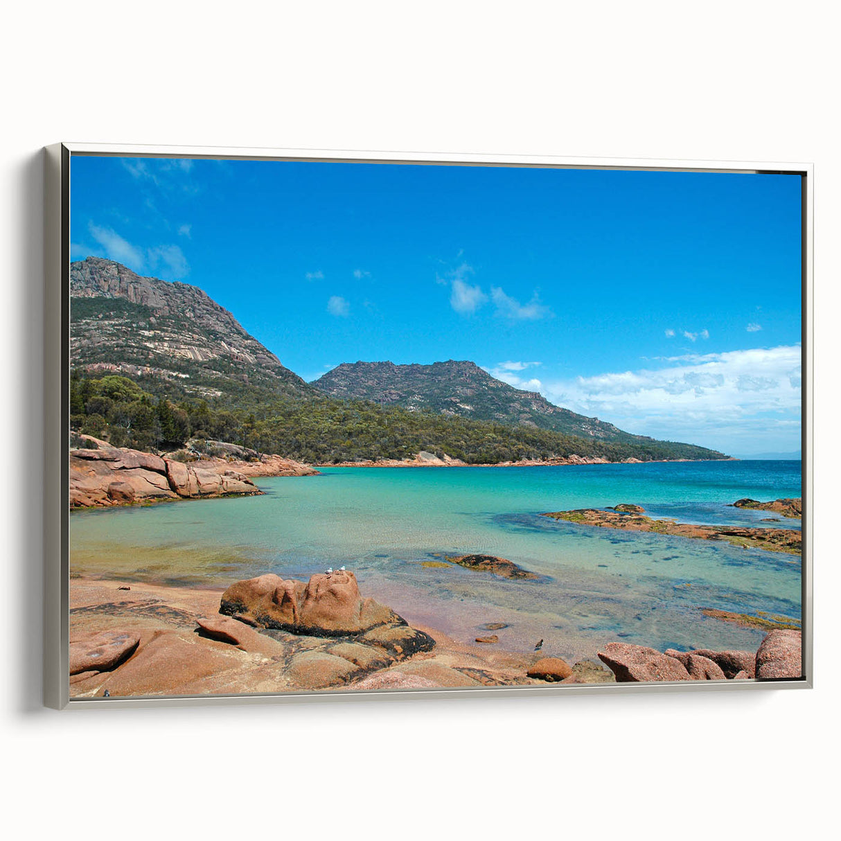 Framed canvas depicting a serene Tasmanian landscape in muted earth tones, ideal for bedroom wall art.