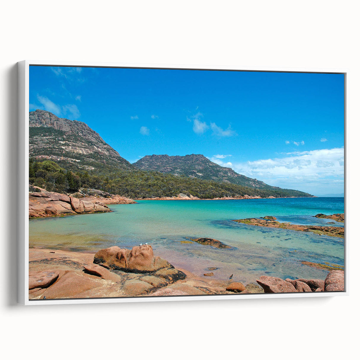 Landscape art painting of Tasmania with vibrant colors on framed canvas, ideal for living room decor.