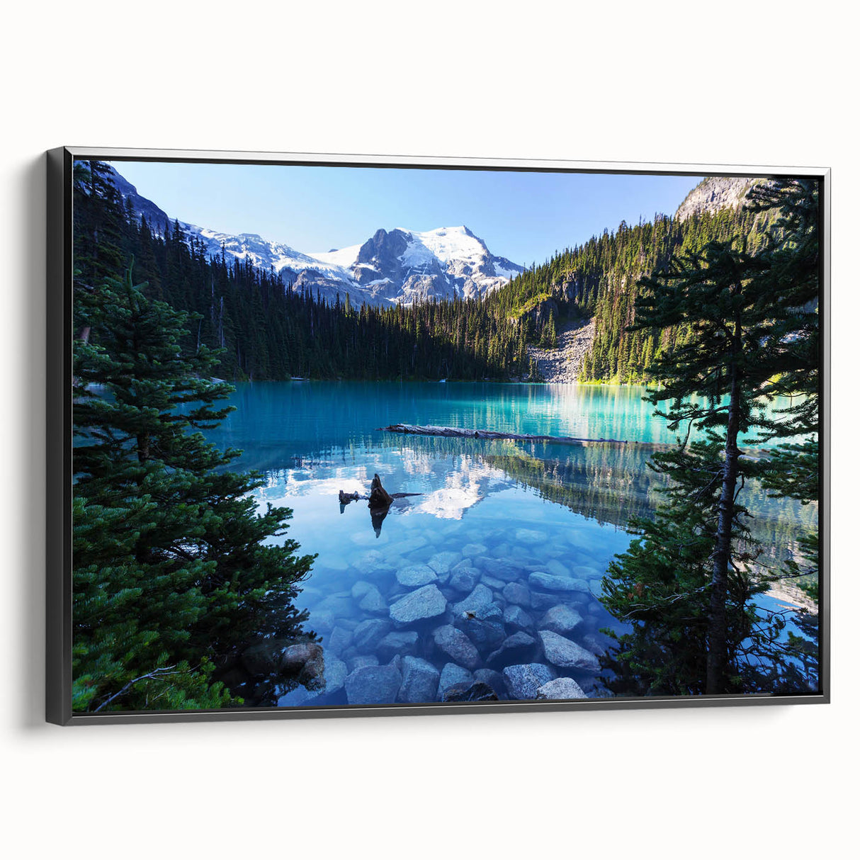 Black and white framed canvas of British Columbia landscape, ideal for bedroom wall decor.