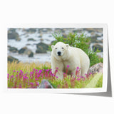 Extra large rolled print depicting vibrant floral art with soft pink and green tones.