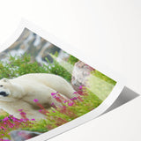 Extra large rolled print featuring line art flowers in neutral tones, ideal for large living room wall art.