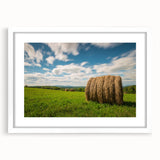 Abstract art print of New Brunswick scenery in muted earth tones, framed with a white mat, suitable for dining room decor.