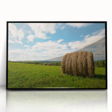 Large abstract wall art featuring a stylized New Brunswick scenery in muted earth tones, framed in black acrylic.